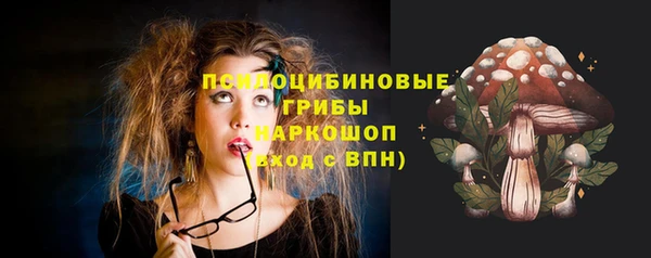 альфа пвп Гусь-Хрустальный