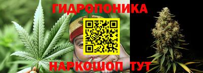 альфа пвп Кингисепп
