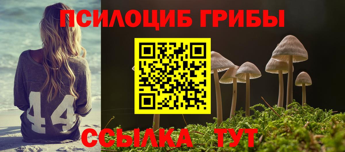 Галлюциногенные грибы Psilocybe  Псилоцибиновые грибы Psilocybine cubensis  Вход с VPN  Партизанск 